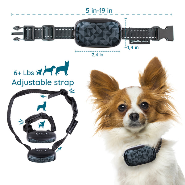 Goodboy mini best sale remote collar